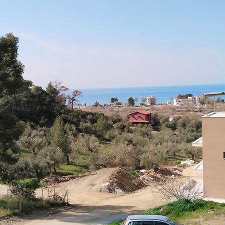 Theasis1 Villa Неос Мармарас Екстериор снимка